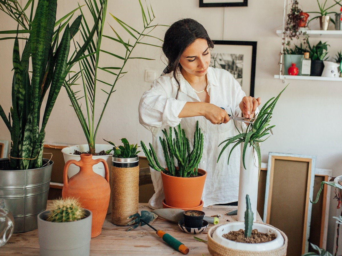 kobieta wśród kwiatów