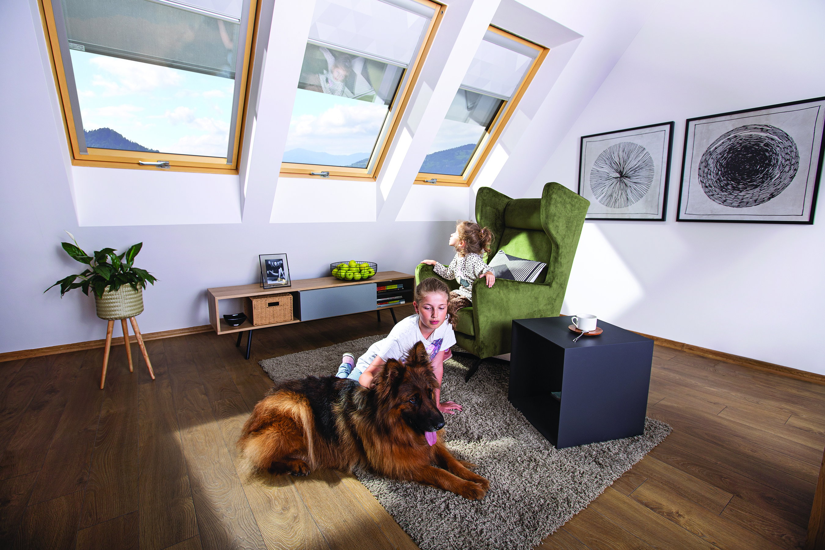 Zdj.2a. Markiza FAKRO (print)