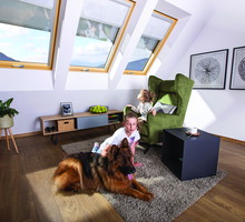 Zdj.2a. Markiza FAKRO (print)