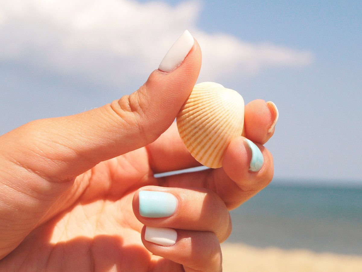 manicure shell nails