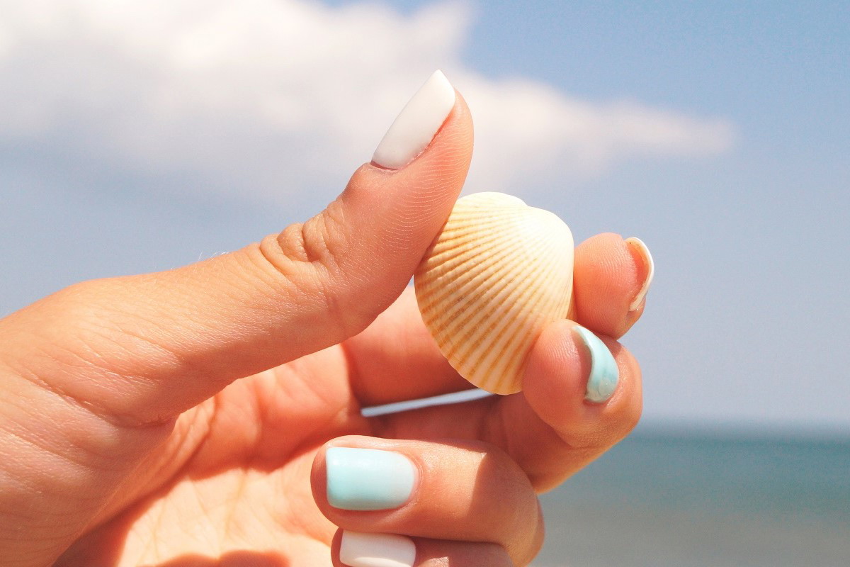 manicure shell nails
