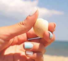manicure shell nails