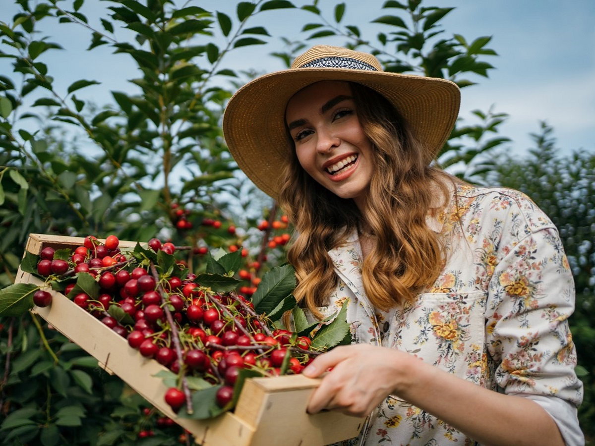 dziewczyna w wiśniowym sadzie