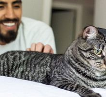 Whiskas