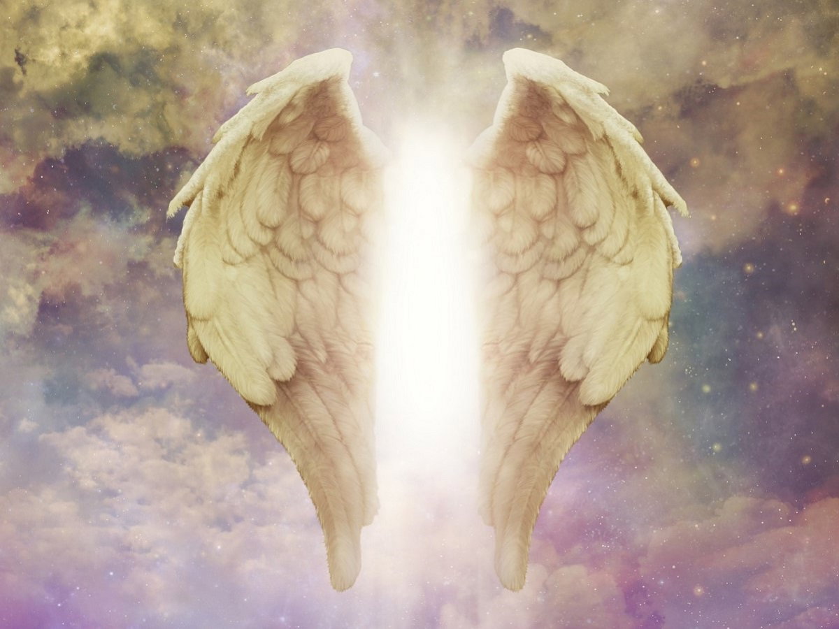 skrzydła anioła