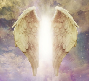 skrzydła anioła