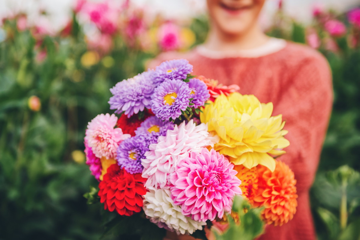 Te kwiaty kojarzą się z pechem, ale mogą też przyciągnąć szczęście