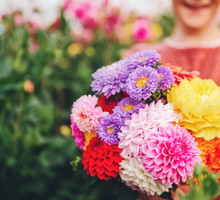 Te kwiaty kojarzą się z pechem, ale mogą też przyciągnąć szczęście