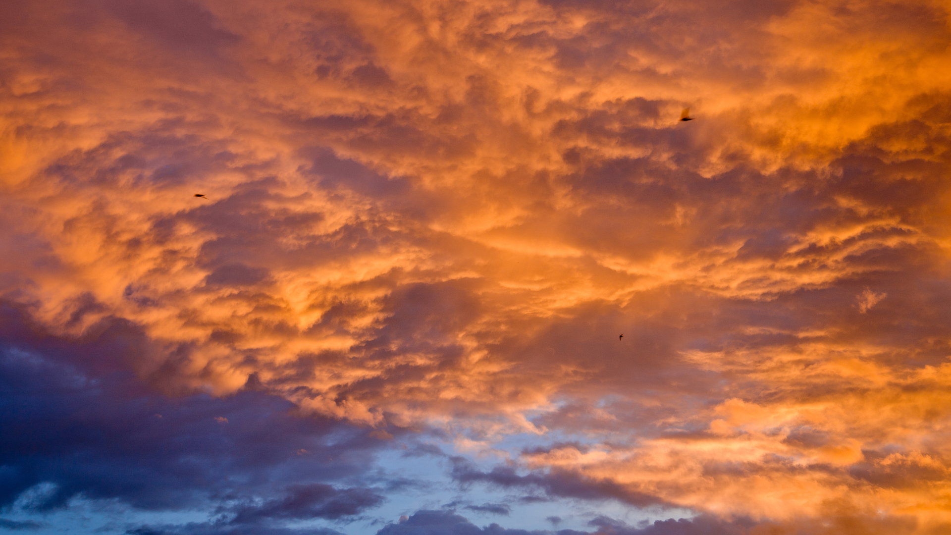 Pomarańczowa chmura dymu nad Polską. Co to takiego i czy nam zagraża?