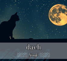 Sennik dach