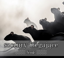 Sennik szczury biegające