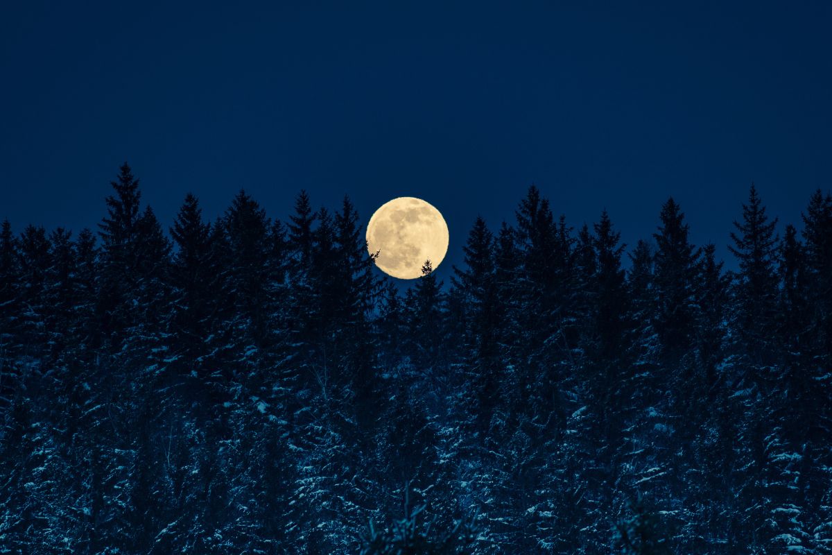 Pełnia Zimnego Księżyca zburzy nasz wewnętrzny spokój Adobe Stock Henryk Niestrój