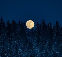 Pełnia Zimnego Księżyca zburzy nasz wewnętrzny spokój Adobe Stock Henryk Niestrój