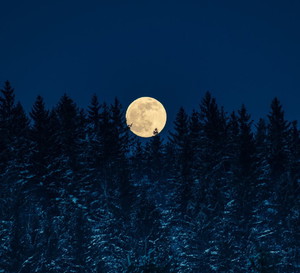 Pełnia Zimnego Księżyca zburzy nasz wewnętrzny spokój Adobe Stock Henryk Niestrój