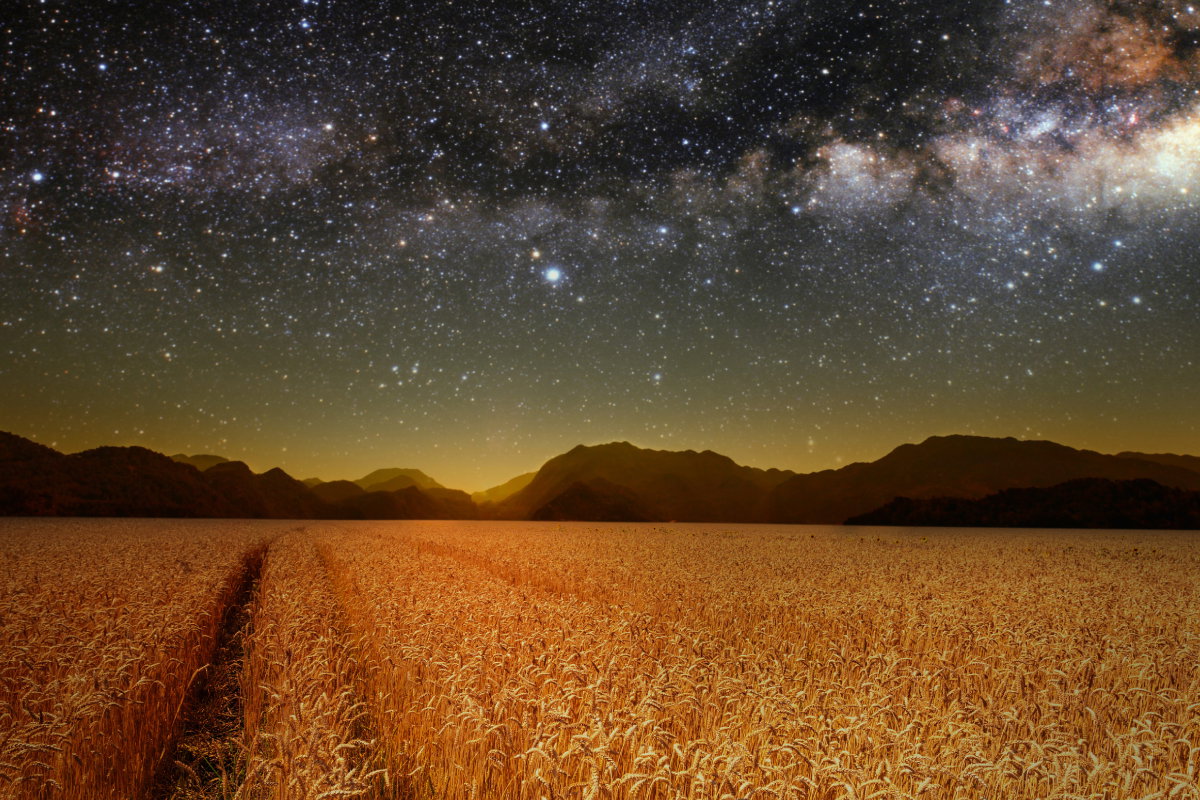 Tygodniowa prognoza astrologiczna 23-29 września 2024