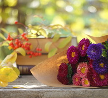 Te kwiaty nadają się tylko na cmentarz