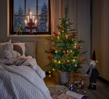 Season Christmas_2023_024817_50455