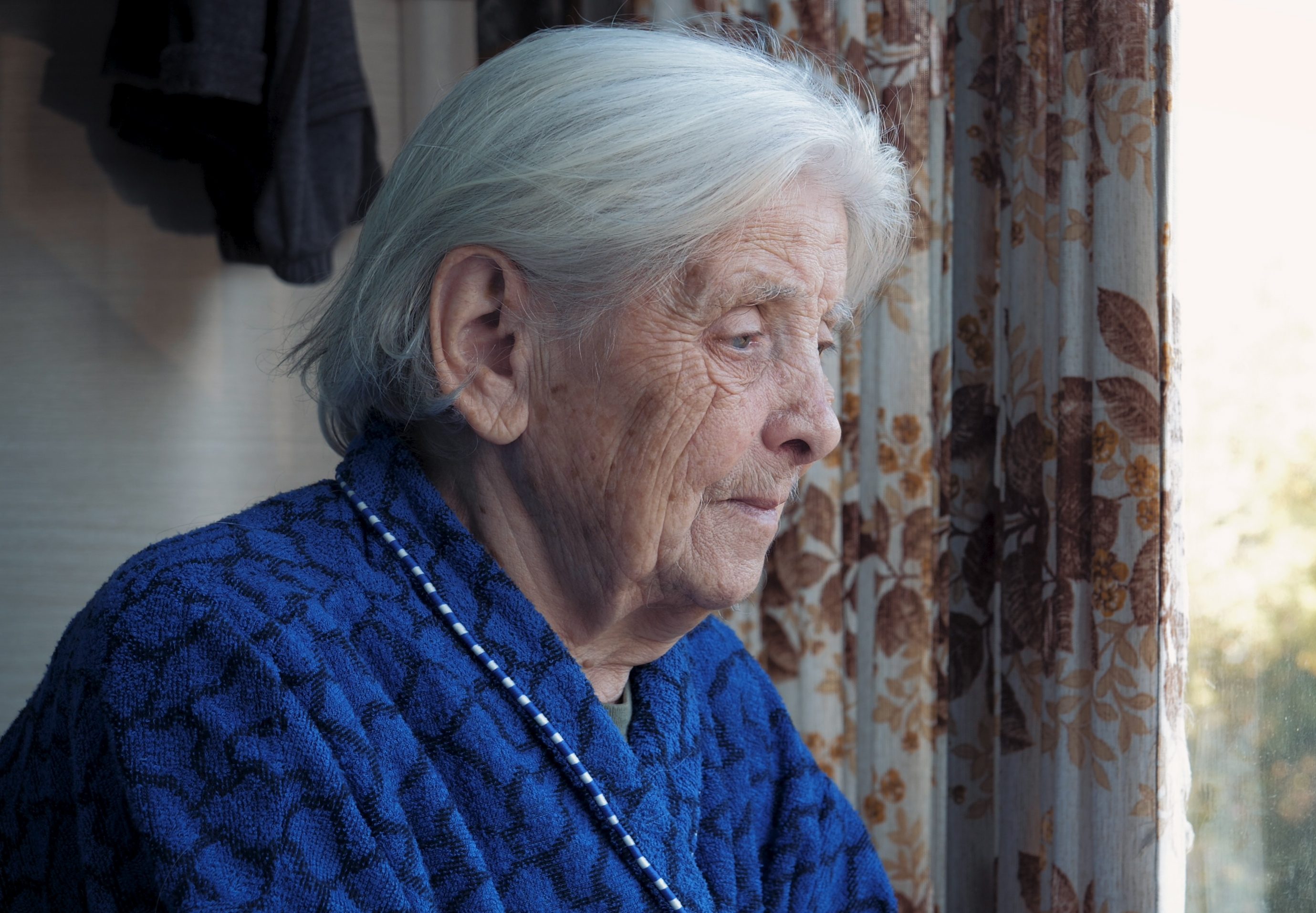 Sad Old Gray Haired Woman Looks Out Of Window Misses Her Family