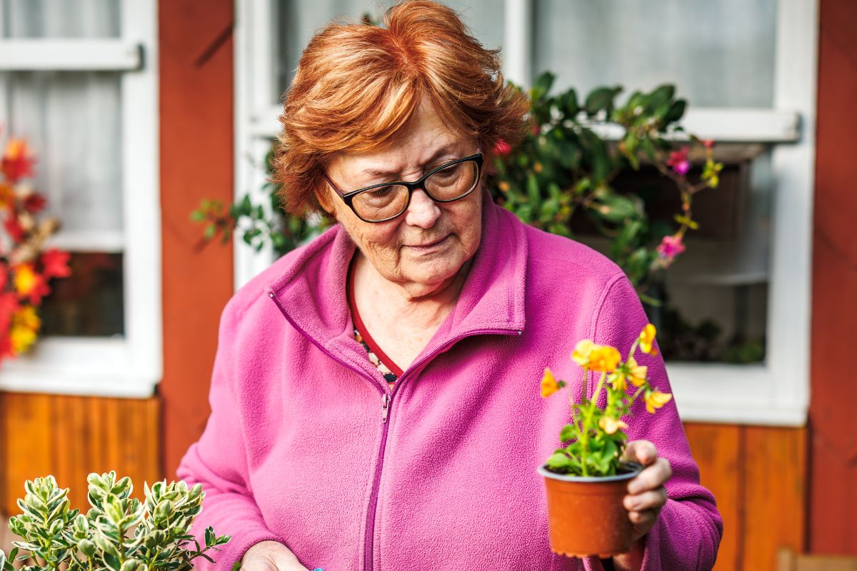 Starsza kobieta sadzi bratki