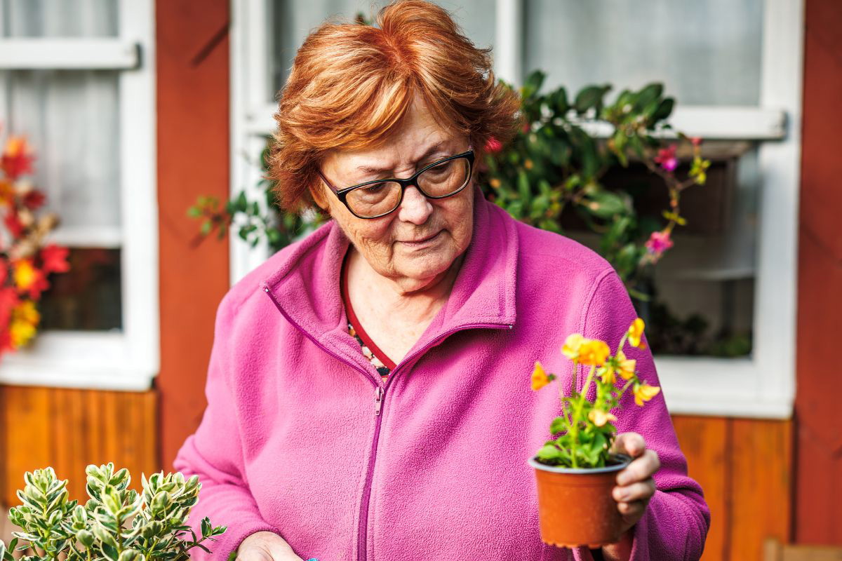 Starsza kobieta sadzi bratki
