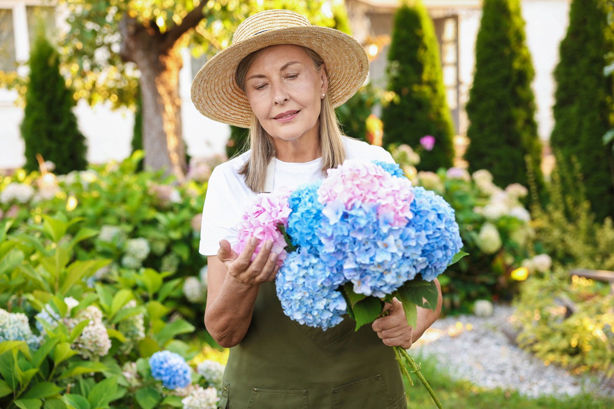 kobieta w wieku 55 plus w kapeluszu i z bukietem hortensji stoi zamyślona w ogrodzie