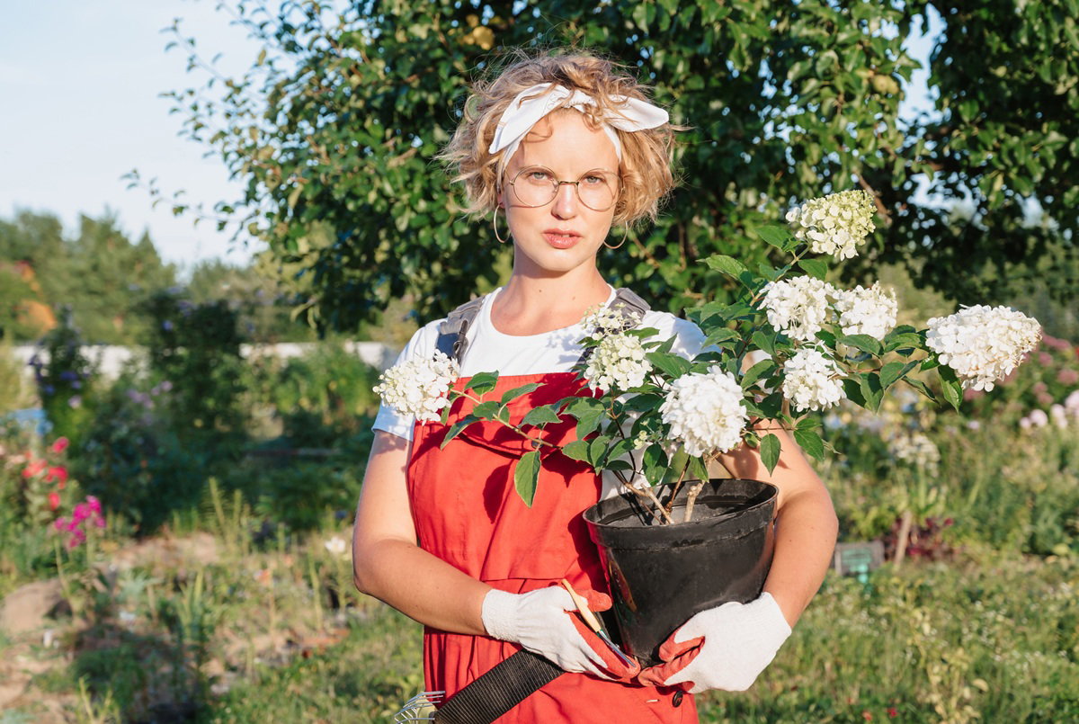 kobieta w wieku 30 plus w okularach i czerwonych ogrodniczkach z hortensją w doniczce i ze smutną miną