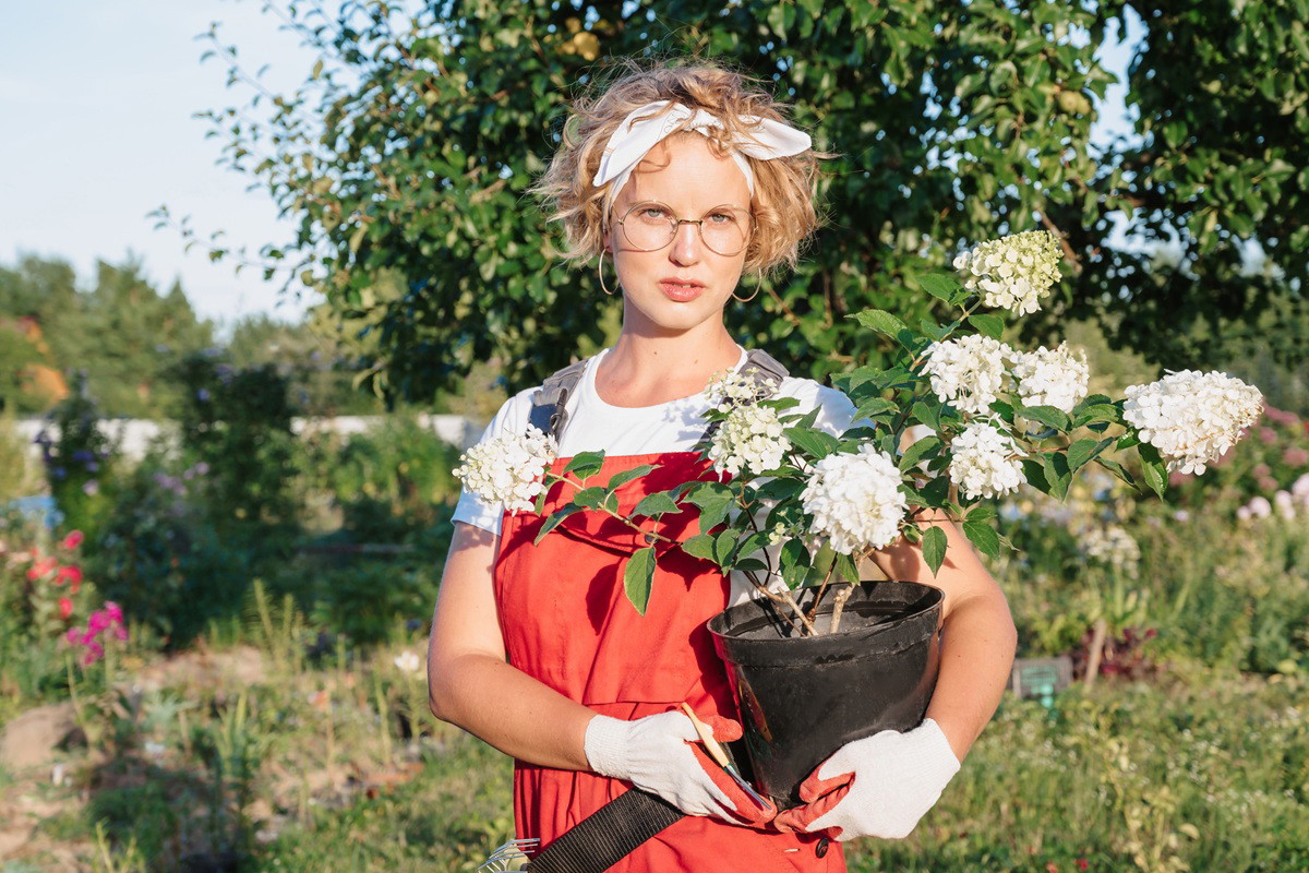 kobieta w wieku 30 plus w okularach i czerwonych ogrodniczkach z hortensją w doniczce i ze smutną miną