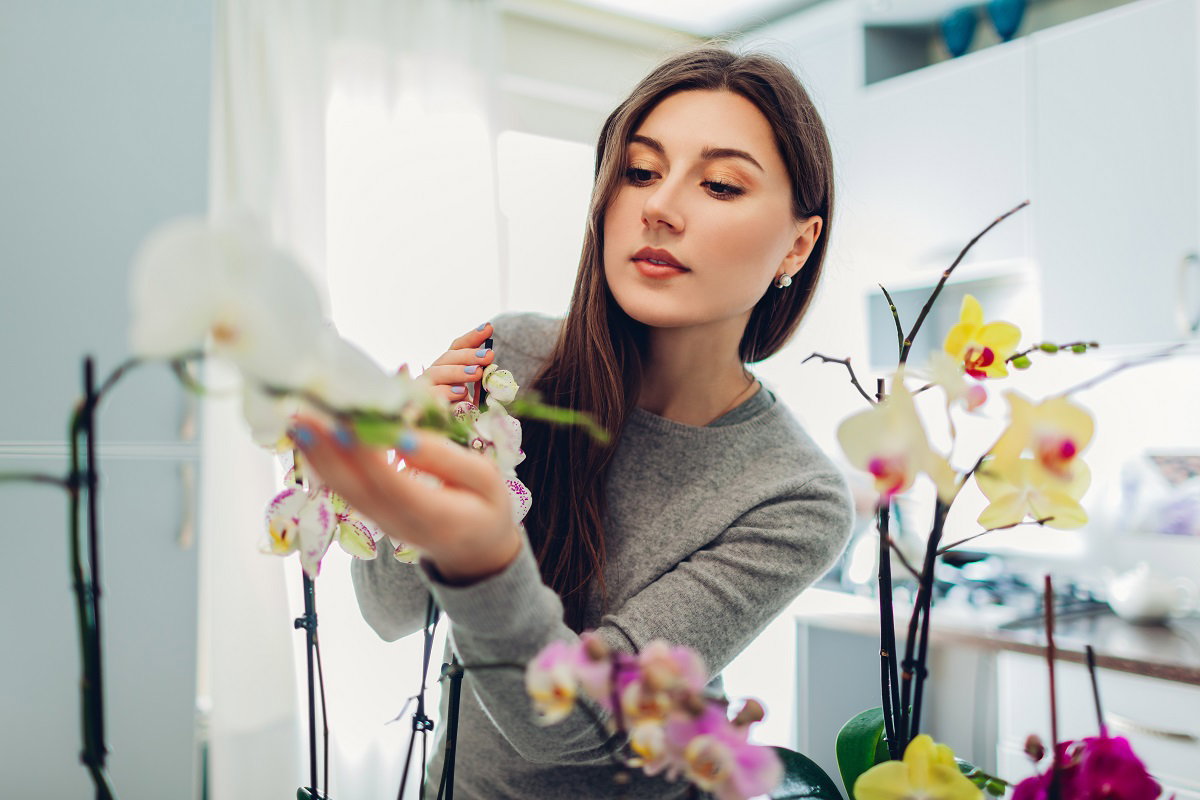 dziewczyna pielęgnująca storczyki