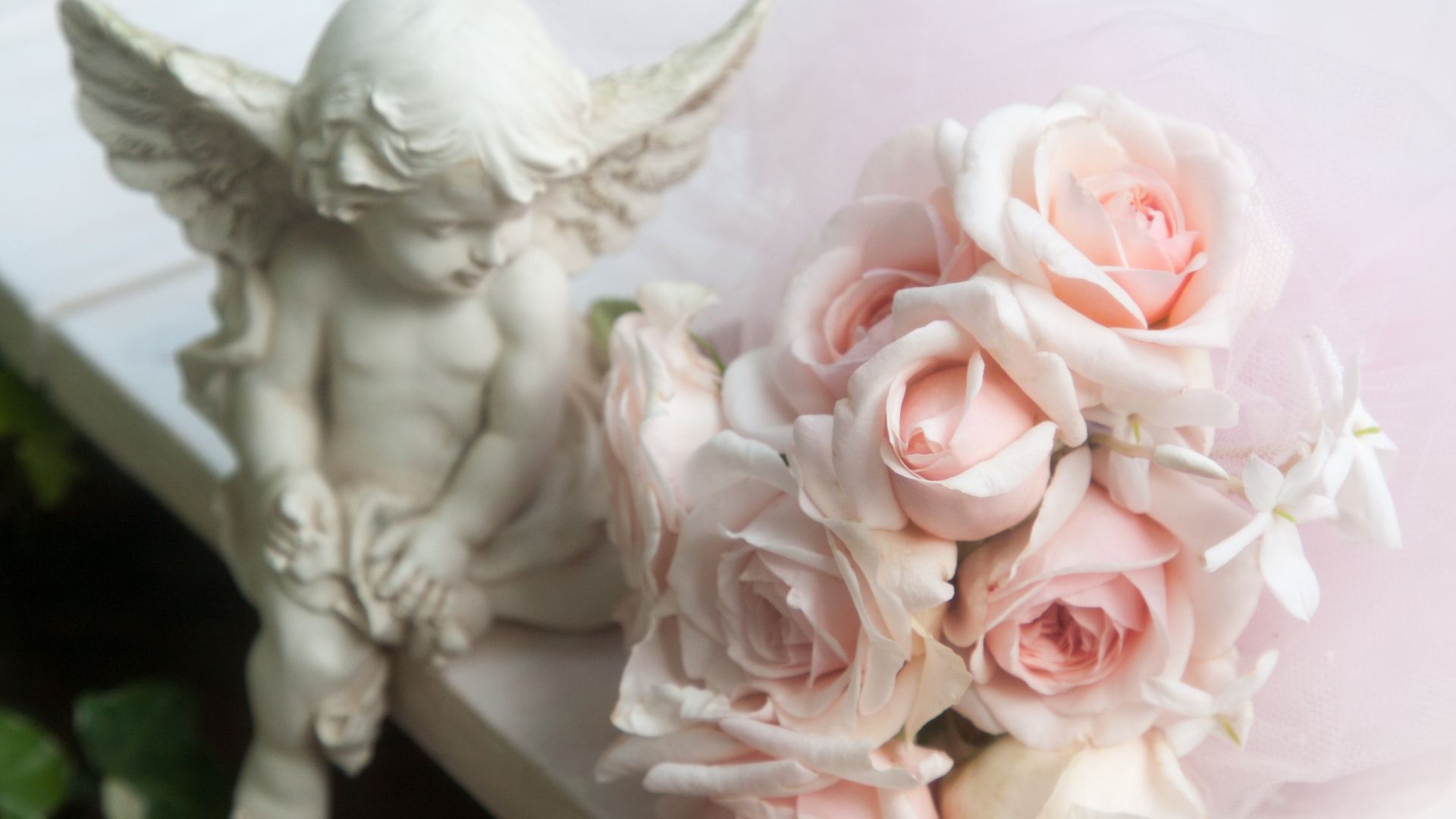 znaki zodiaku nawiedzi anioł miłości