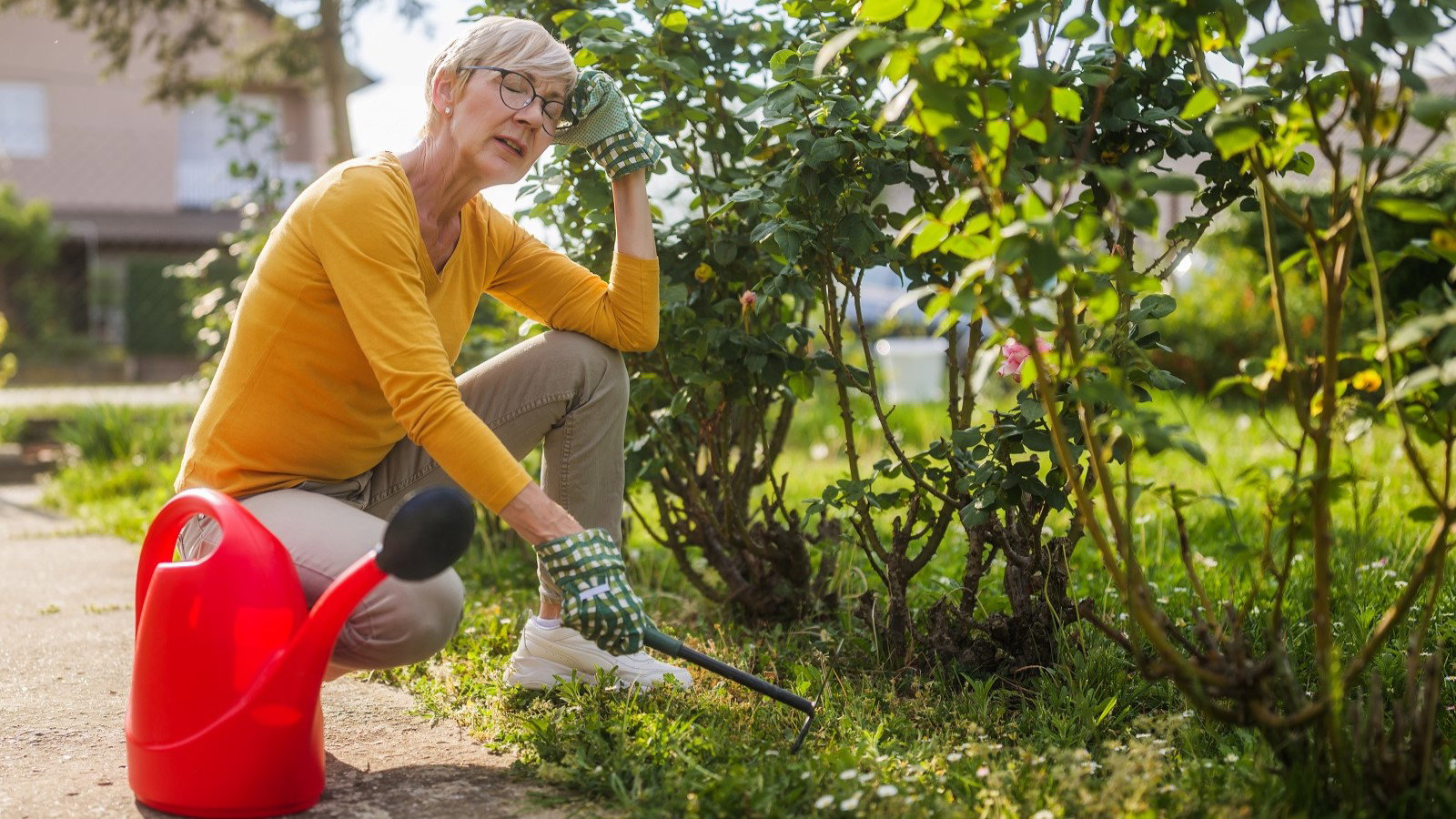 seniorka w ogrodzie