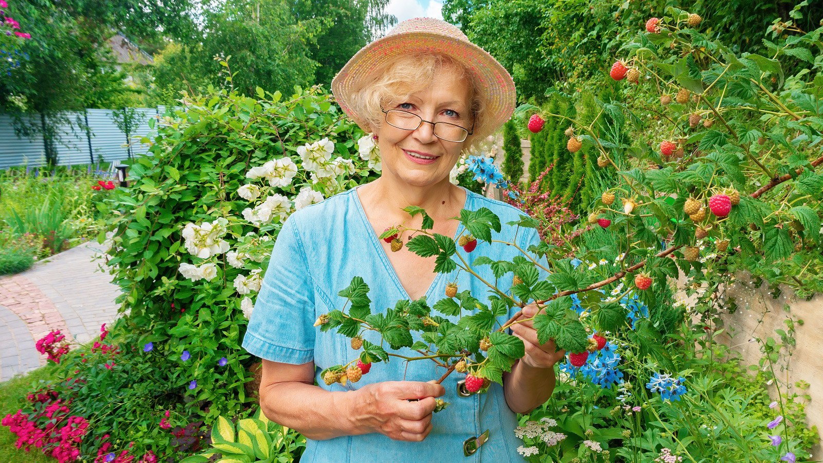 seniorka w malinach