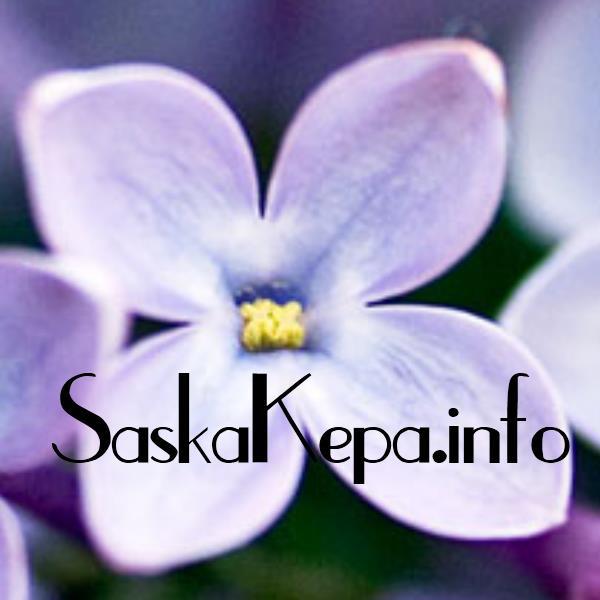 saskakepa_info