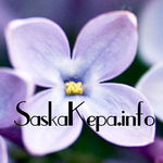 saskakepa_info