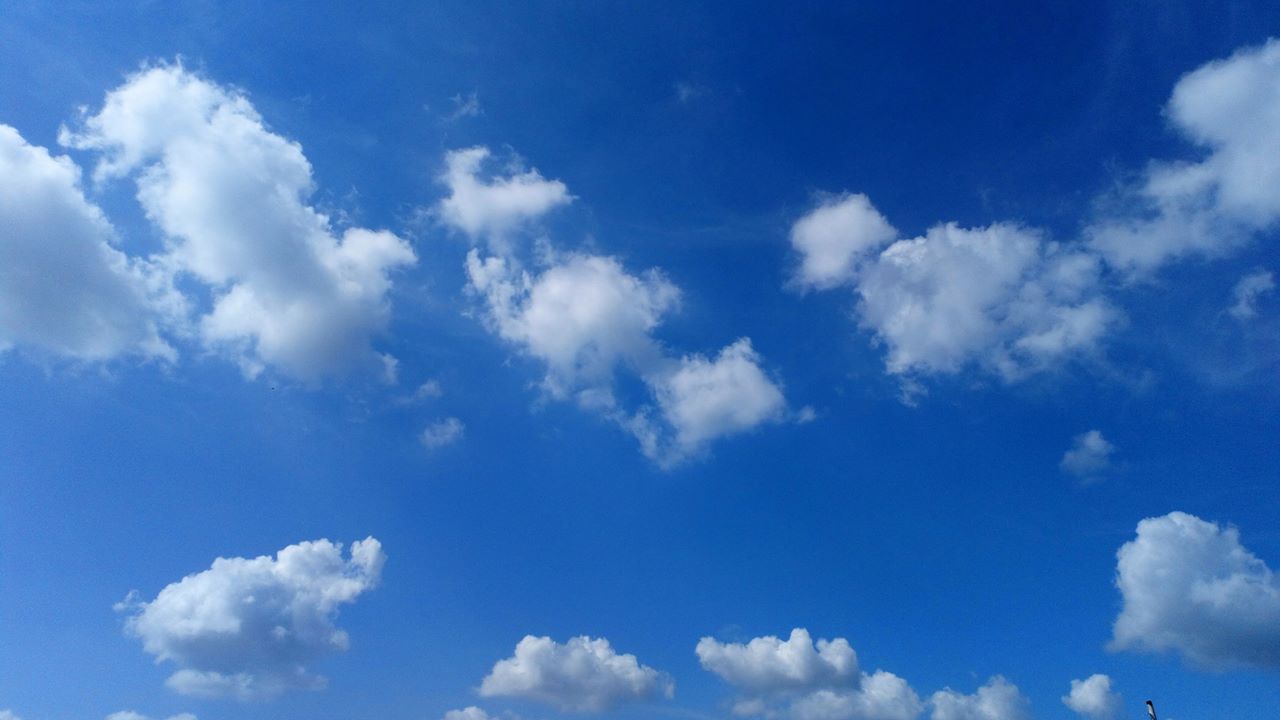 5c6c899328edd.jpg