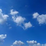 5c6c899328edd.jpg