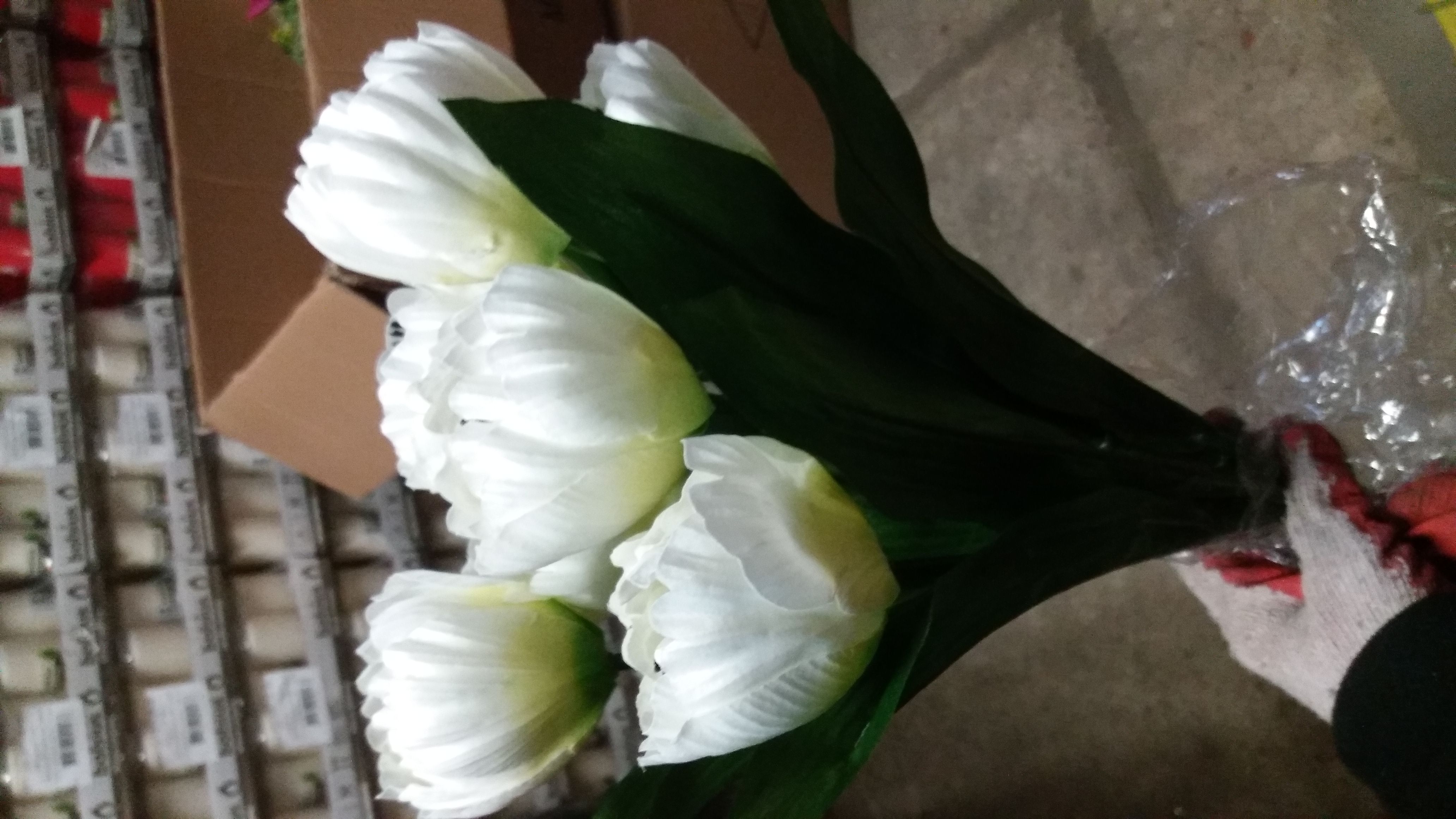 IMG-20190207-WA0009.jpeg