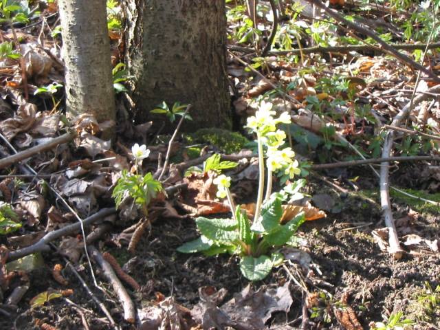 5cd3fd47202e8.jpg