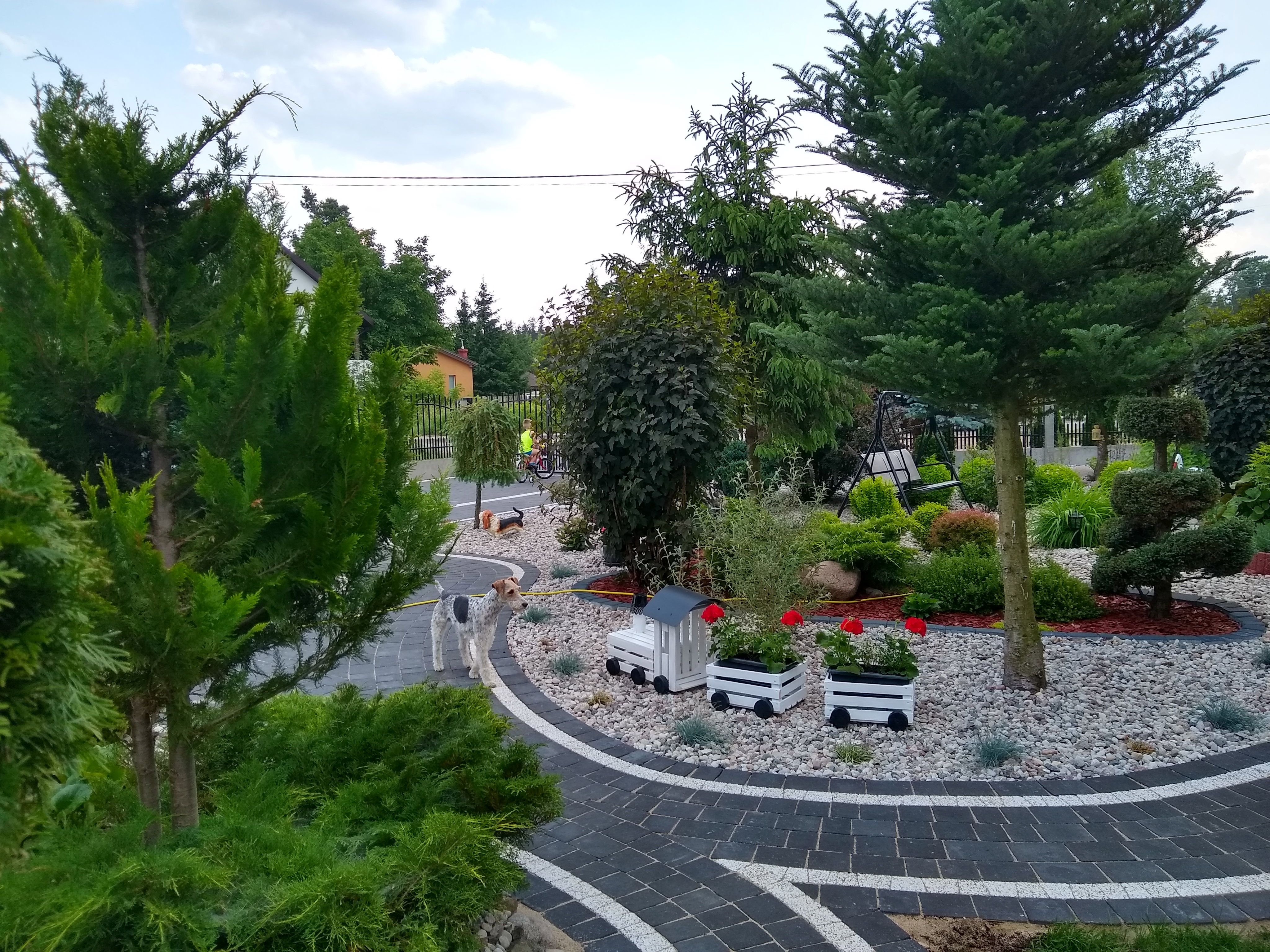 IMG_20190613_162252849_HDR.jpg