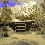 DSC06684.JPG