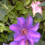 20170524_190310.jpg