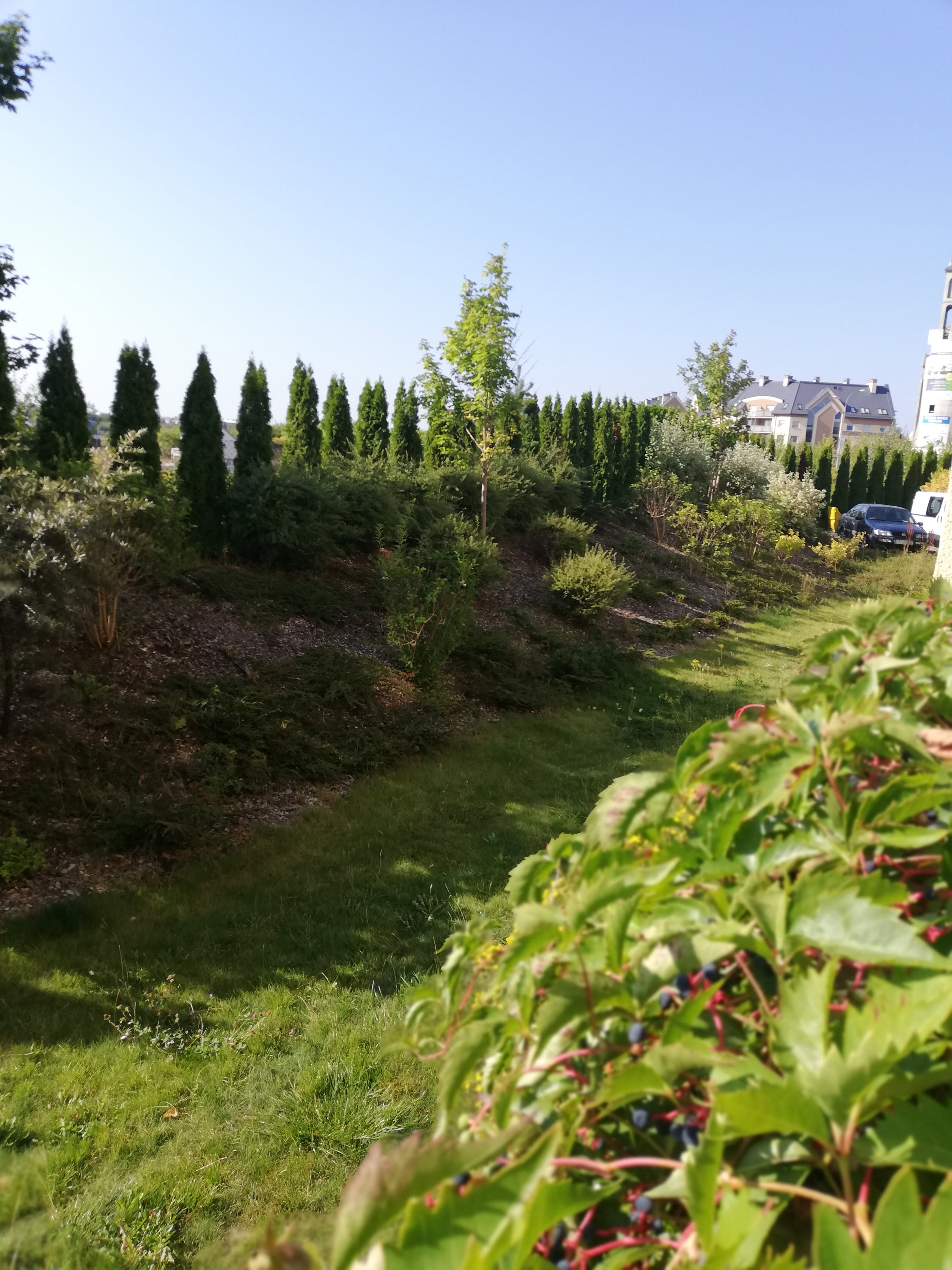 IMG_20190901_093630.jpg
