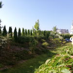 IMG_20190901_093630.jpg