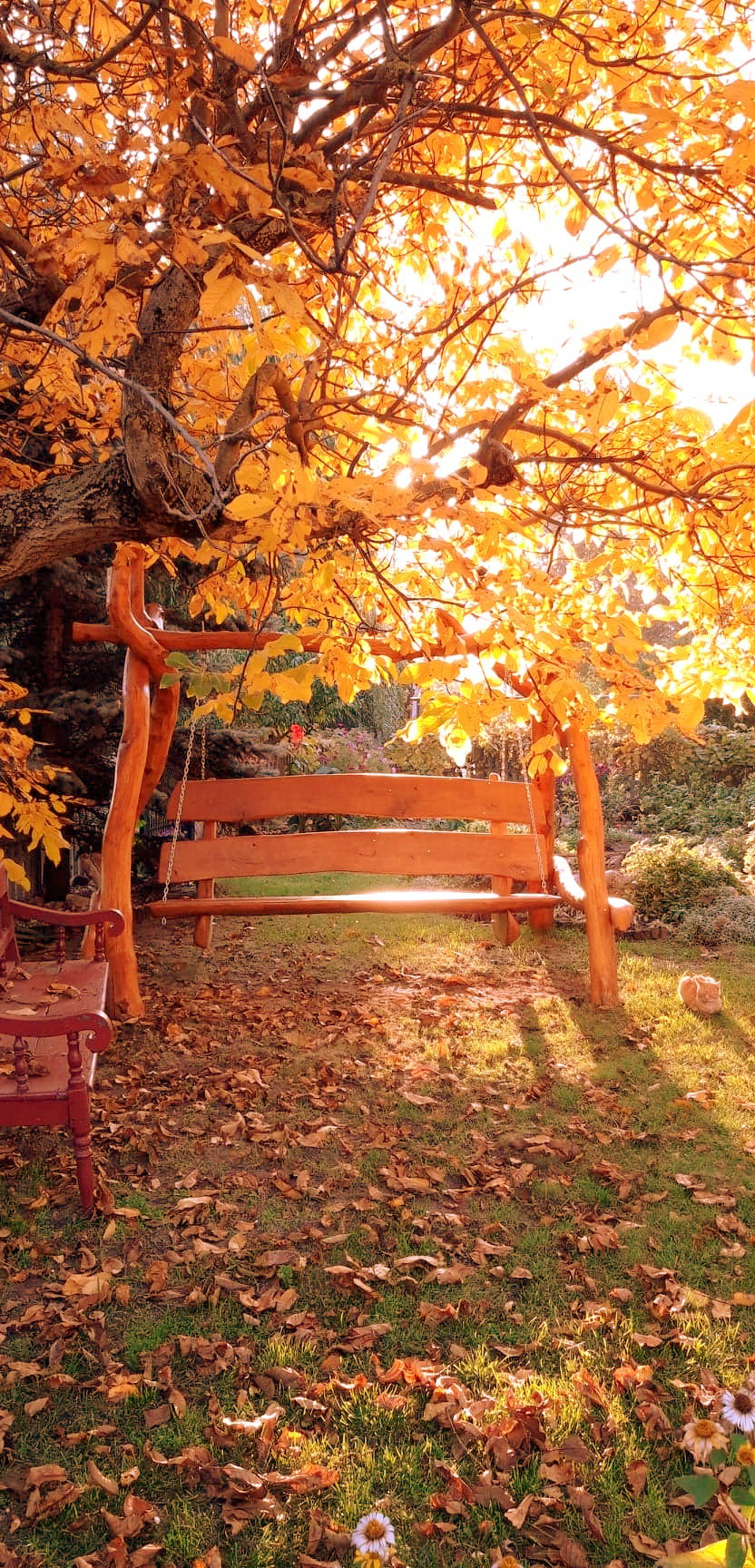 72696896_1686284191501764_2879088999970897920_n (1).jpg