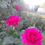 20190616_194657.jpg