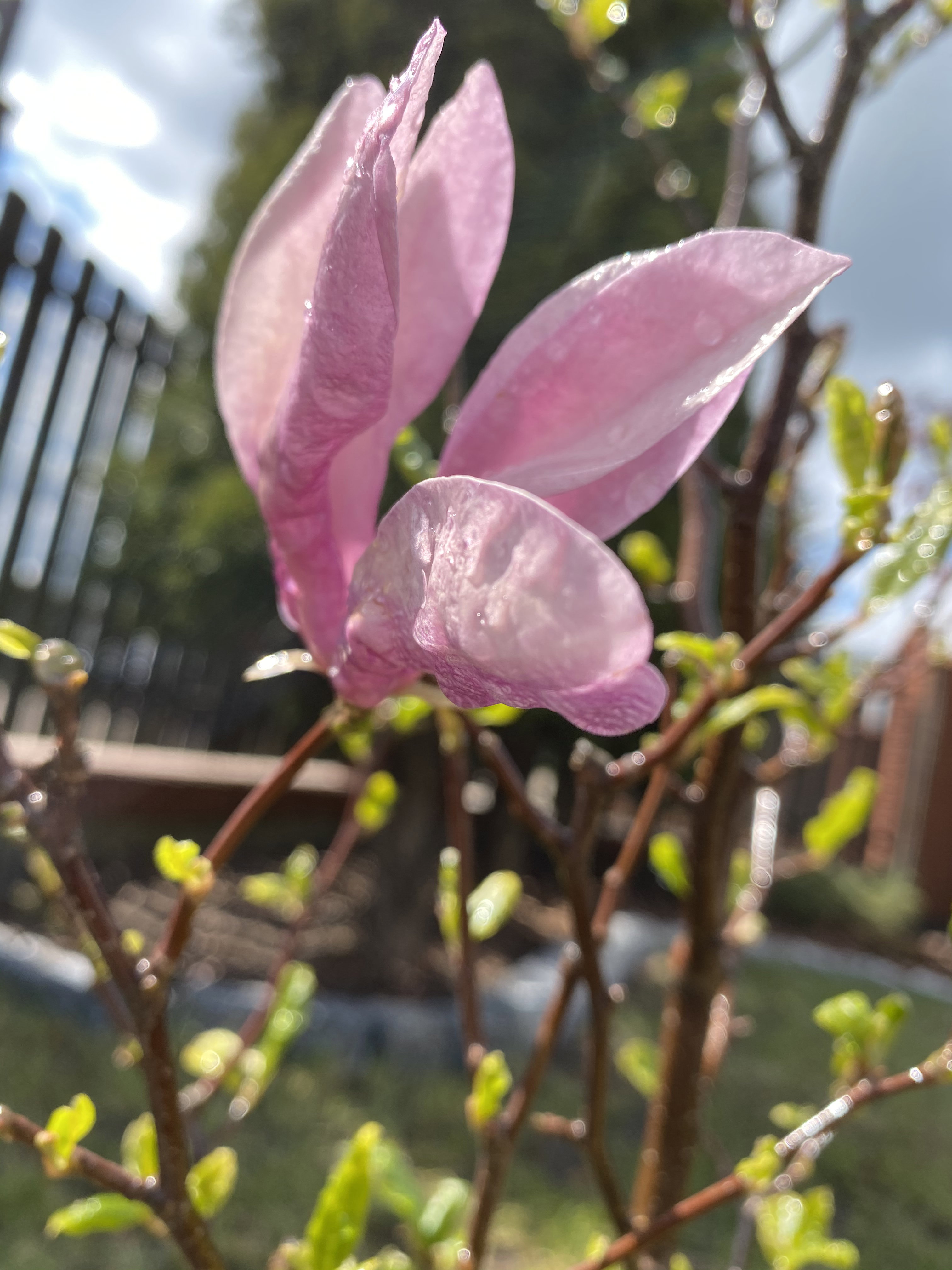 26355FE2-FD6C-4D63-B52F-150384587788.jpeg