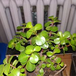 IMG_20200521_003300.jpg