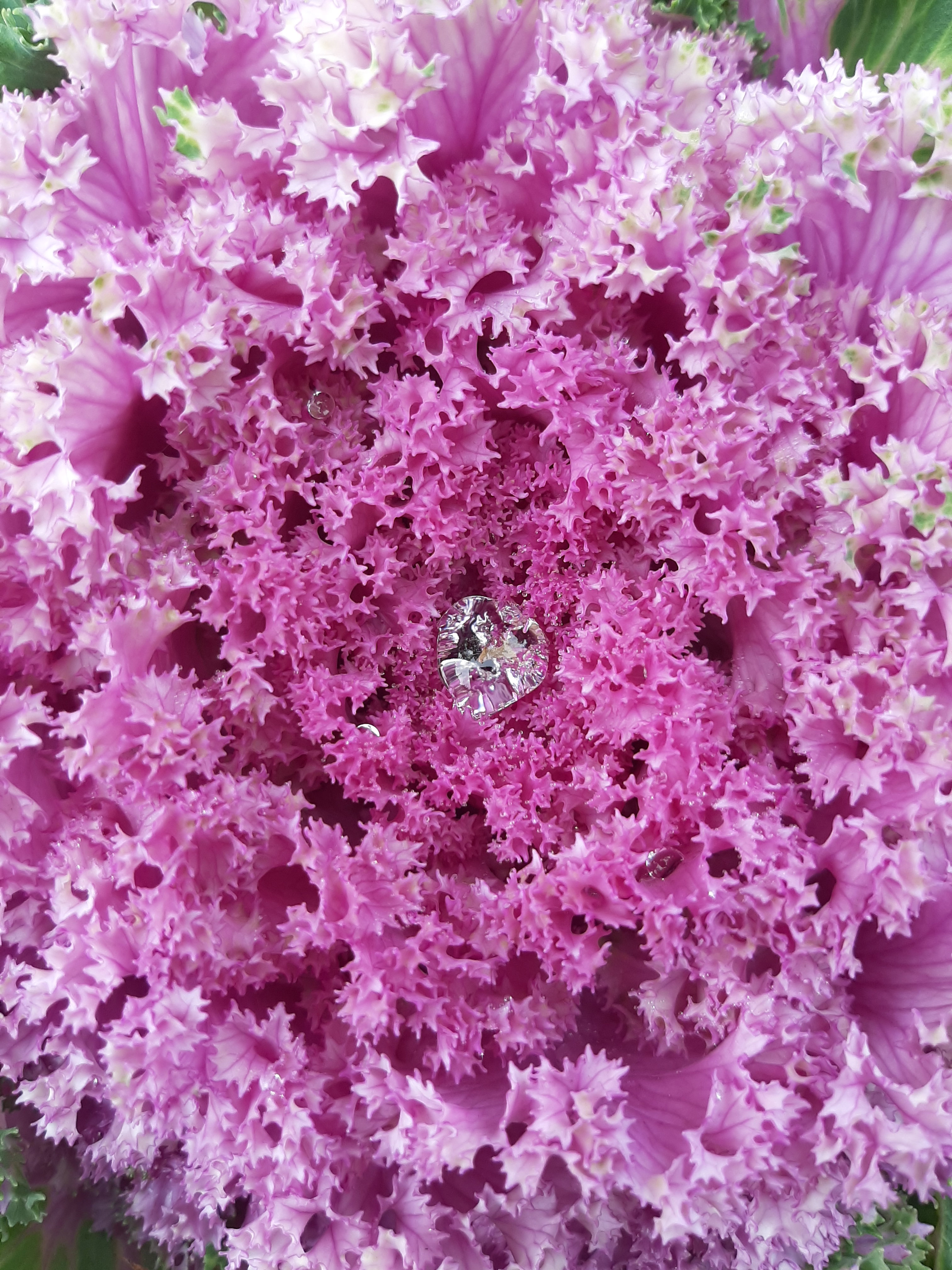 20201009_105302.jpg