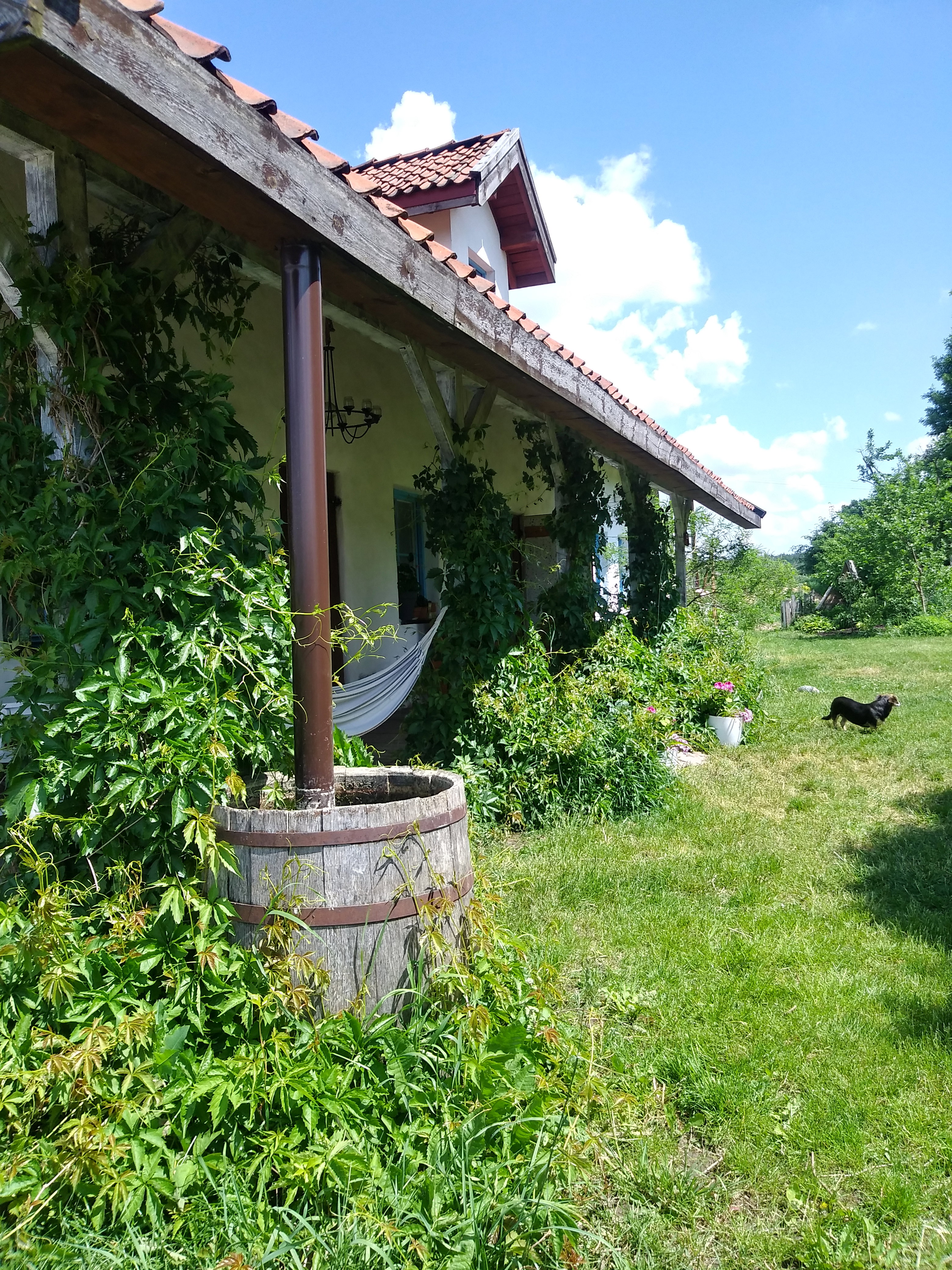 20210610_122359_HDR.jpg