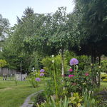 IMG_20210527_224023.jpg