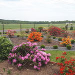IMG-20220524-WA0001